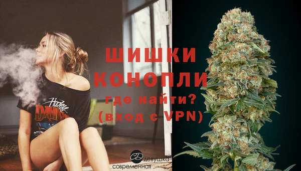 винт Богданович