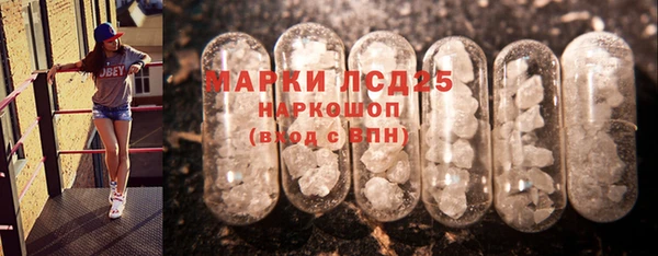 винт Богданович