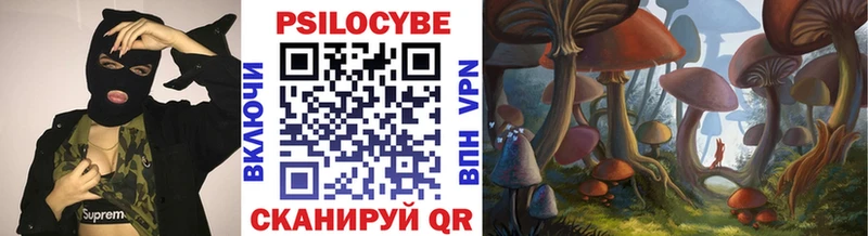 Купить где  Светлый  Галлюциногенные грибы MAGIC MUSHROOMS 