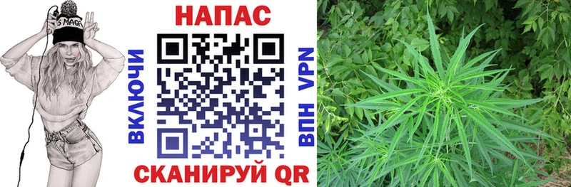 Марихуана индика  Купить закладки  Светлый 